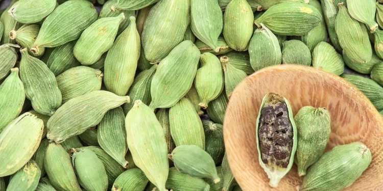 Cardamom The New Superfood With Surprising Health Benefits