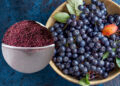 Unlocking the Power of Freeze-Dried Canadian Wild Blueberry Powder